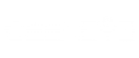 ceeneye-Loved-Onez-logo ceeneye-Loved-Onez-logo